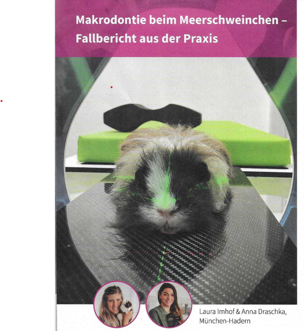 Link zum Fachmagazin - Makrodontie