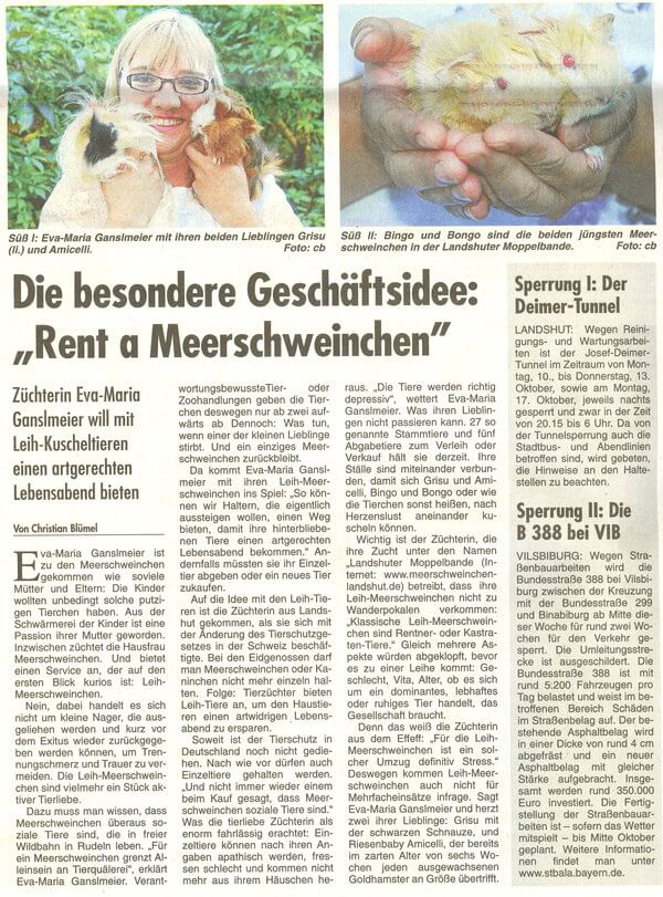 wochenblatt meerschweinchen landshut1