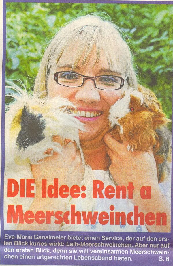 Titelbild Leihmeerschweinchen