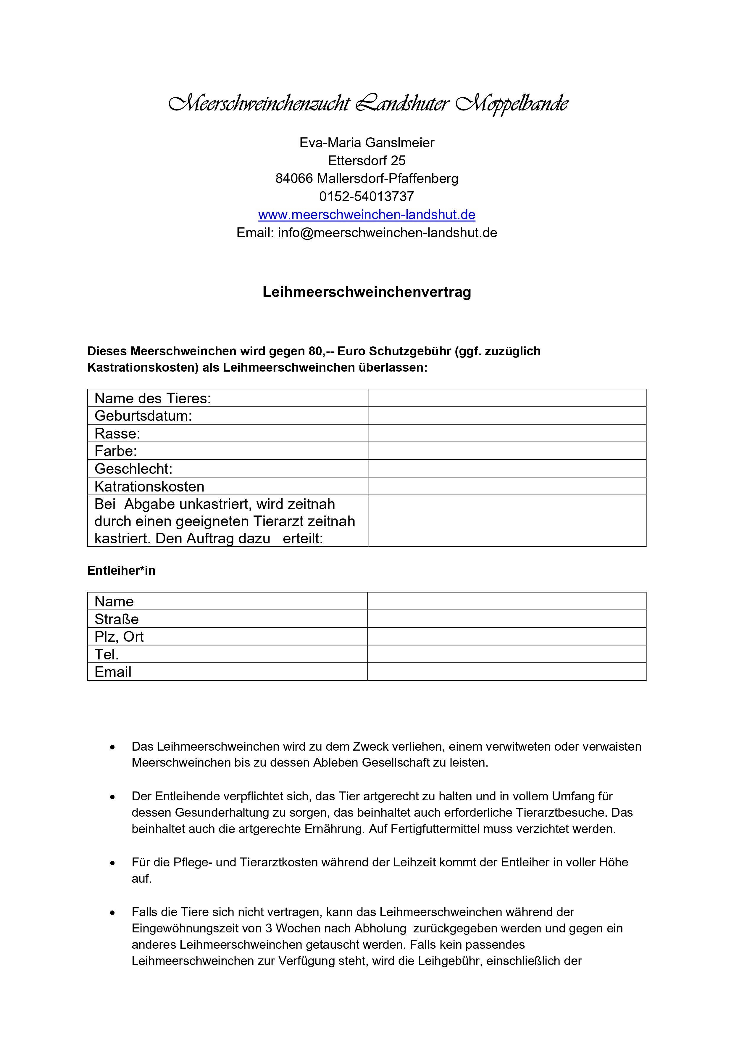 Leihvertrag23 1