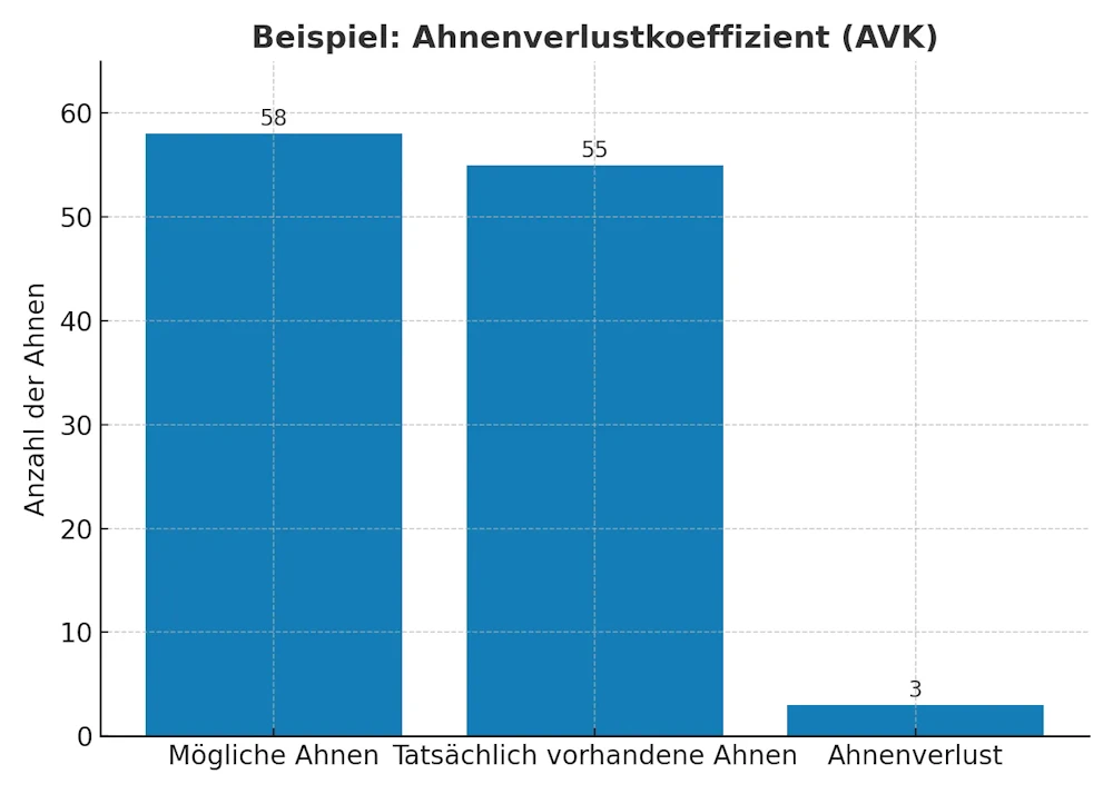 avk beispiel Grafik