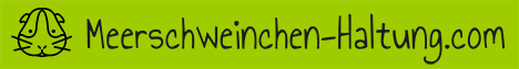 banner meerschweinchenhaltung