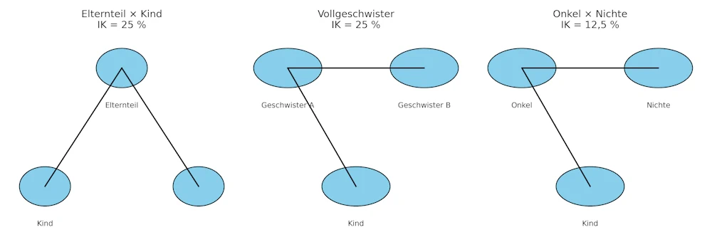 Graphische Darstellung Inzuchtcoeffizient Stammbaum