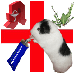 rotes Kreuz mit Meerschweinchen für Hausapotheke